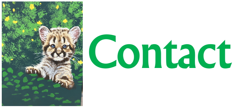 A close up of a tiger

Description automatically generated